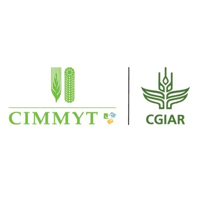 Logo of International Maize and Wheat Improvement Center (CIMMYT)