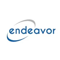 Logo of Endeavor Consulting Group