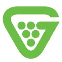 Logo of Grapevine MSP Technology Services