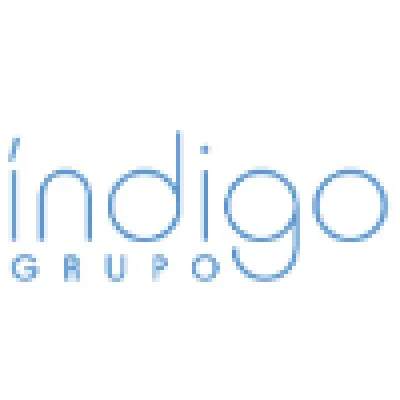 Indigo Group Logo