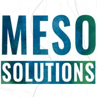 Logo of Meso Solutions