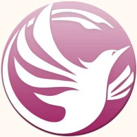 Logo of Phoenix Virtual Solutions