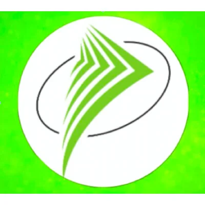 Logo of Precise Solutions