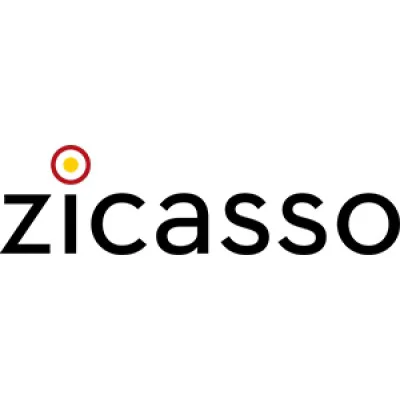 Logo of Zicasso